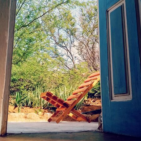 Farinha De Pau - Eco B&B Tarrafal Szoba fotó