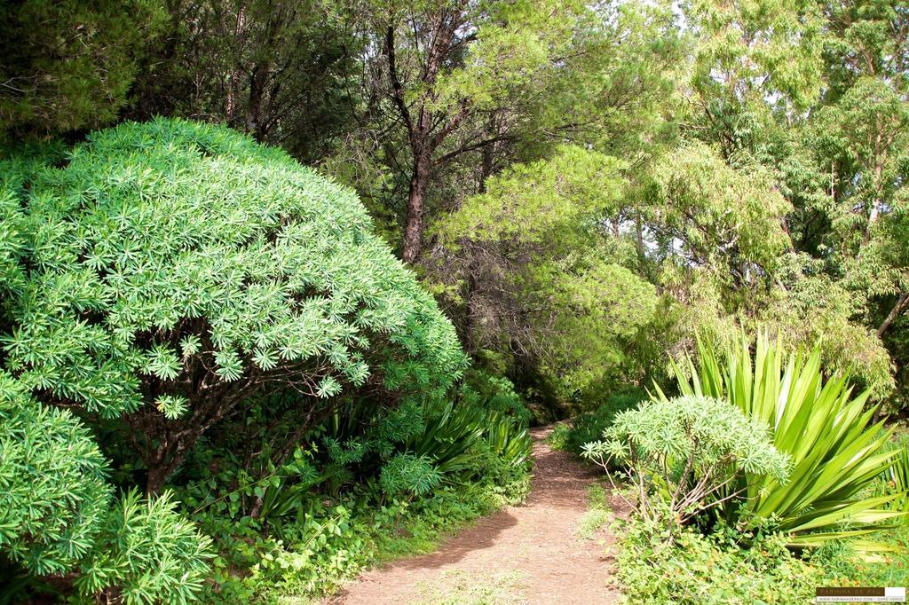 Farinha De Pau - Eco B&B Tarrafal Kültér fotó