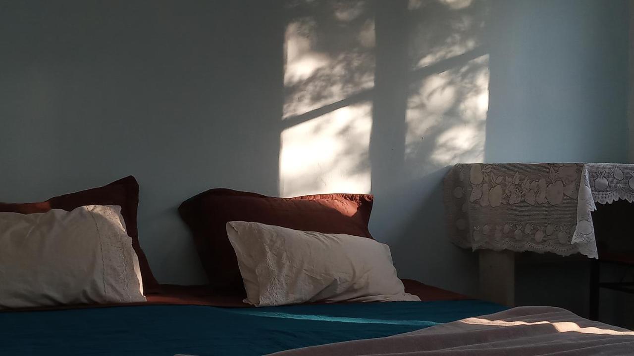 Farinha De Pau - Eco B&B Tarrafal Kültér fotó
